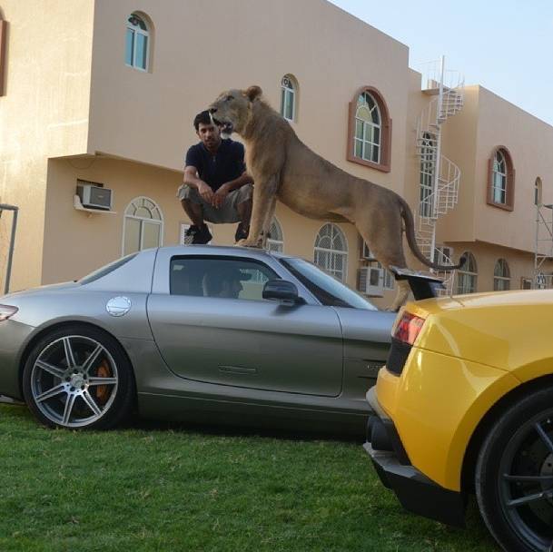 Por que os xeiques árabes são tão ricos? Descubra!