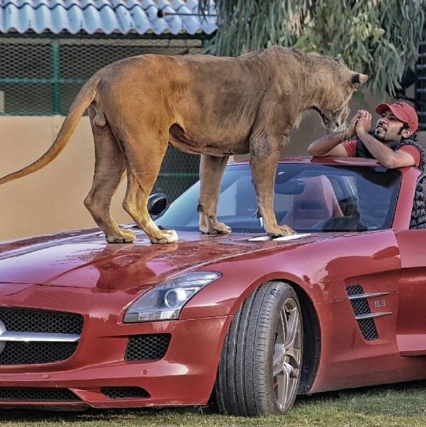 Luxo, bizarrice e mico: árabes ricaços adoram esbanjar vida boa e