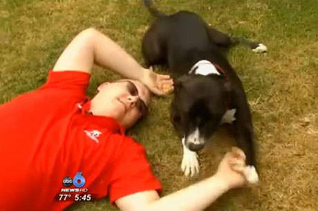 Cachorro é treinado para agir em situações de emergência Cachorro é treinado para agir em situações de emergência