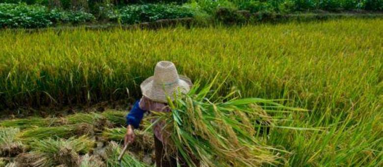 Trabalho escravo está presente na exploração sexual, trabalho doméstico, agricultura, construção, manufatura, minério e nos serviços, segundo estudo da OIT
Trabalho escravo está presente na exploração sexual, trabalho doméstico, agricultura, construção, manufatura, minério e nos serviços, segundo estudo da OIT
