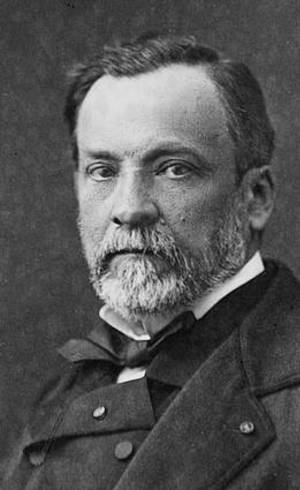 O cientista Louis Pasteur O cientista Louis Pasteur