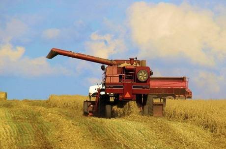 O Brasil, um dos maiores importadores globais de trigo, teve os Estados Unidos como o principal fornecedor O Brasil, um dos maiores importadores globais de trigo, teve os Estados Unidos como o principal fornecedor