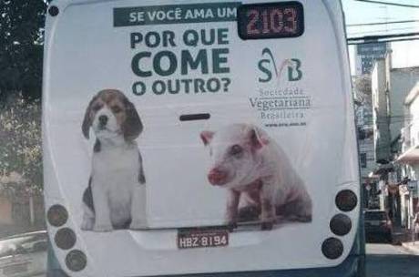 Anúncio tenta provocar simpatia para animais normalmente destinados ao consumo Anúncio tenta provocar simpatia para animais normalmente destinados ao consumo
