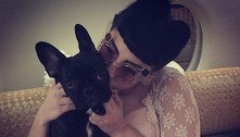 Homem que roubou cachorros de Lady Gaga é condenado a 21 anos de prisão