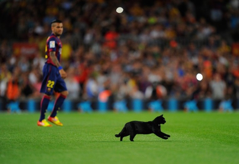 Gato Preto e macumba foram responsáveis pelo jogo Barcelona X PSG