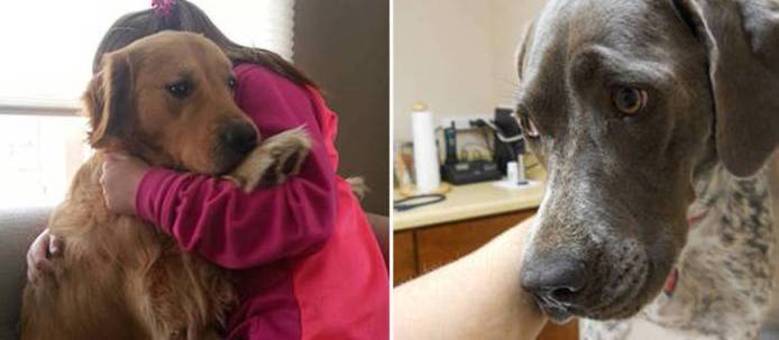 Essas pestinhas morrem de medo de ir ao veterinário! Essas pestinhas morrem de medo de ir ao veterinário!