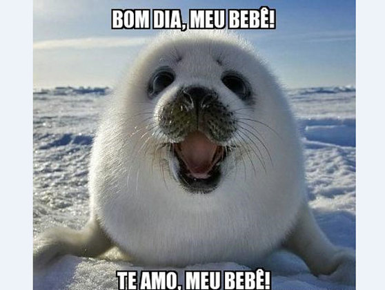 Bom dia, meu bebê! Música de Pablo do Arrocha vira meme engraçado nas redes  sociais - Fotos - R7 Hoje em Dia