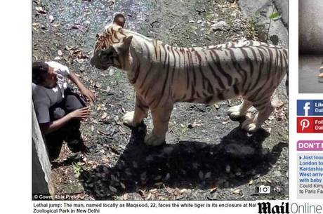 O animal ficou observando o homem por 15 minutos antes de devorá-lo