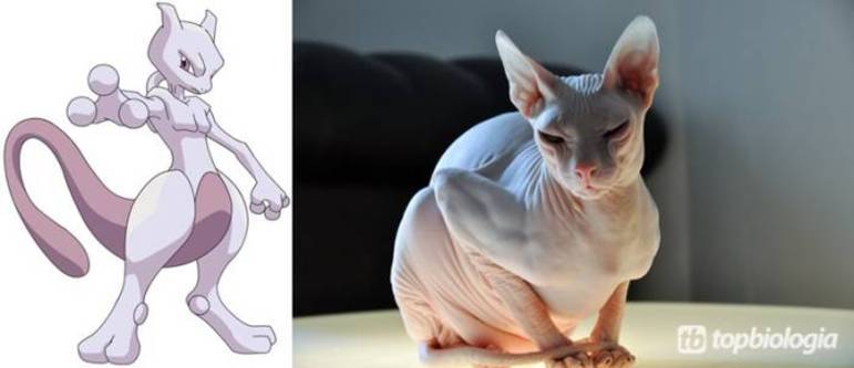 10 animais da vida real que inspiraram Pokémons [imagens] - Mega Curioso