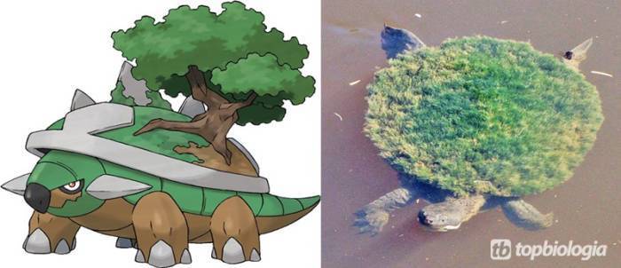 Pokemon Planta carnivora lava