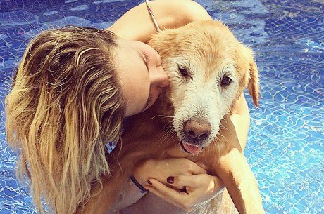 Giovanna publica foto com cão da raça golden retriever 