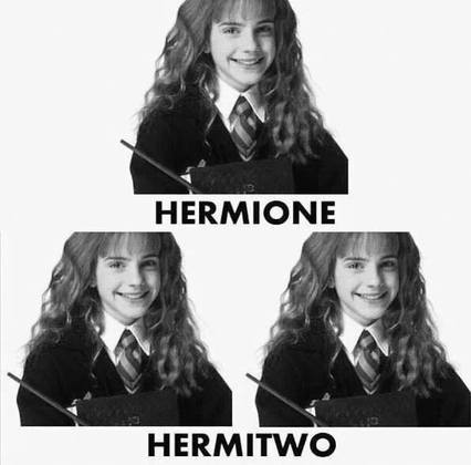 Página do Facebook cria memes hilários com personagens de Harry Potter -  Fotos - R7 Pop