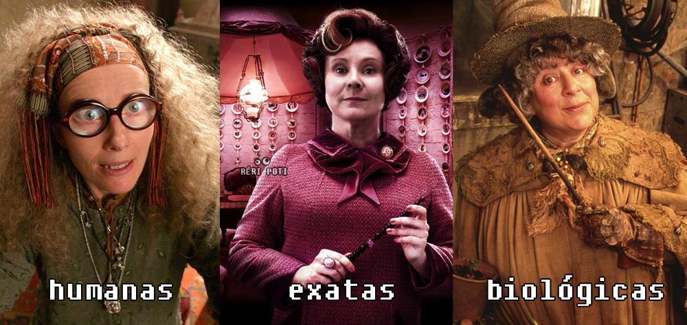 Página do Facebook cria memes hilários com personagens de Harry Potter -  Fotos - R7 Pop