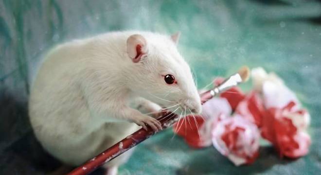 Rótulo também deverá especificar qual animal é utilizado nos testes Rótulo também deverá especificar qual animal é utilizado nos testes