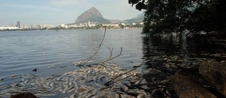 Em abril passado, mais de 50 toneladas de peixes mortos foram recolhidas na Lagoa, zona sul do Rio de Janeiro Em abril passado, mais de 50 toneladas de peixes mortos foram recolhidas na Lagoa, zona sul do Rio de Janeiro