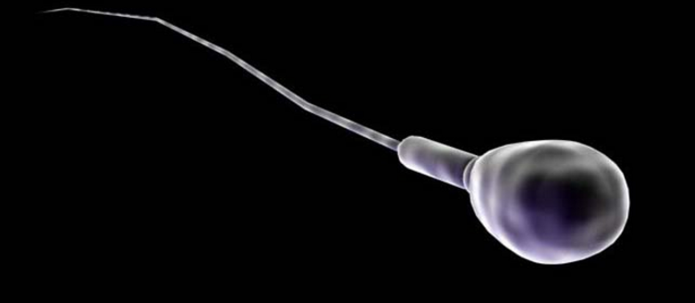 Os cientistas alertam que alterar o DNA de esperma, óvulos ou embriões humanos pode produzir efeitos desconhecidos em futuras gerações
