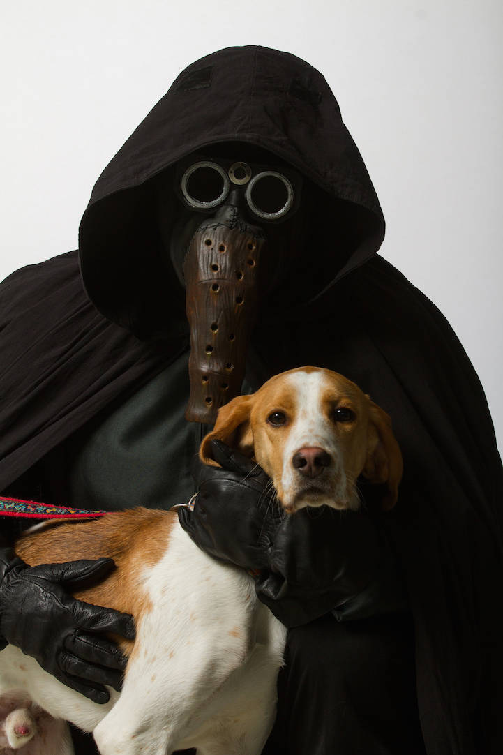 Instituição de caridade promove adoção de animais com personagens de Star  Wars