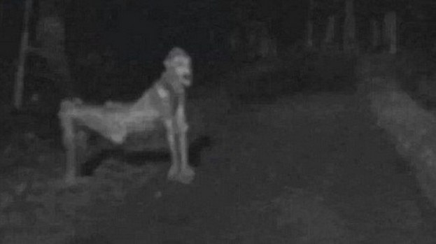 Veja 7 videos assustadores envolvendo supostas aparições de fantasmas