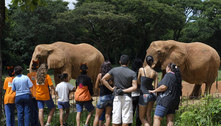 Zoológico de BH volta a ter visita sem necessidade de agendamento 