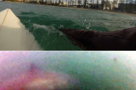 Veja abaixo o momento em que o surfista filmou o tubarão