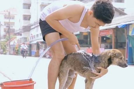 Homem dá banho em cachorros de rua