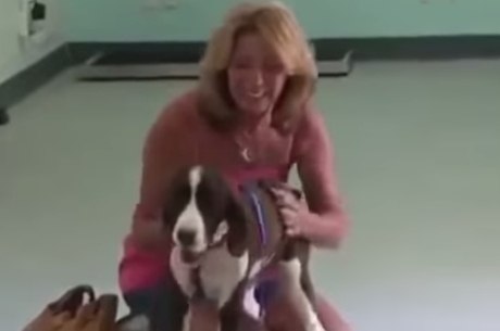 Mulher se emociona ao ver seu cachorro andar após cirurgia