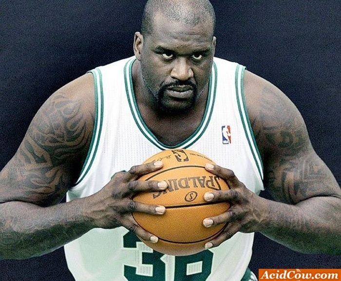 30 fotos que mostram como Shaquille O’Neal é gigantesco Fotos R7
