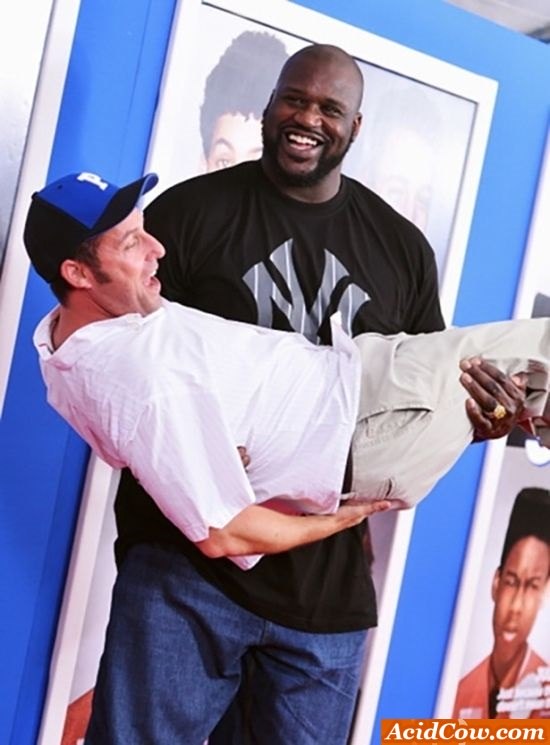 30 Fotos Que Mostram Como Shaquille Oneal é Gigantesco Fotos R7