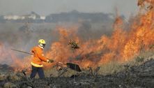 Focos de queimadas aumentam 41% no Distrito Federal 