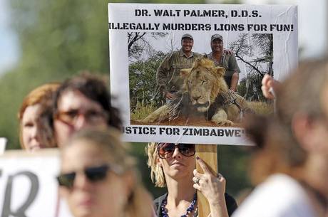 Dentista que matou leão continua escondido