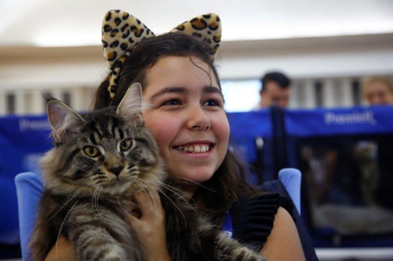 Fotos: Evento reúne 360 gatos de 23 raças diferentes em São Paulo