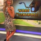 Animal Print para dar o tom das fofocas dos famosos. Animal print é a cara da venenosa. Ele foi usado com poucos acessórios, apenas um brinco grande e sapato peep toe, um clássico. O animal print tem que ser usado com acessórios discretos e cabelo natural, por já ser bem chamativo