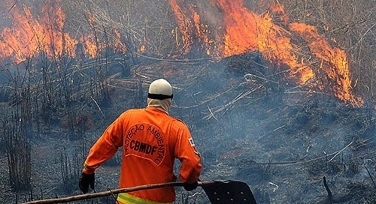 Bombeiro combate incêndio florestal no DF
