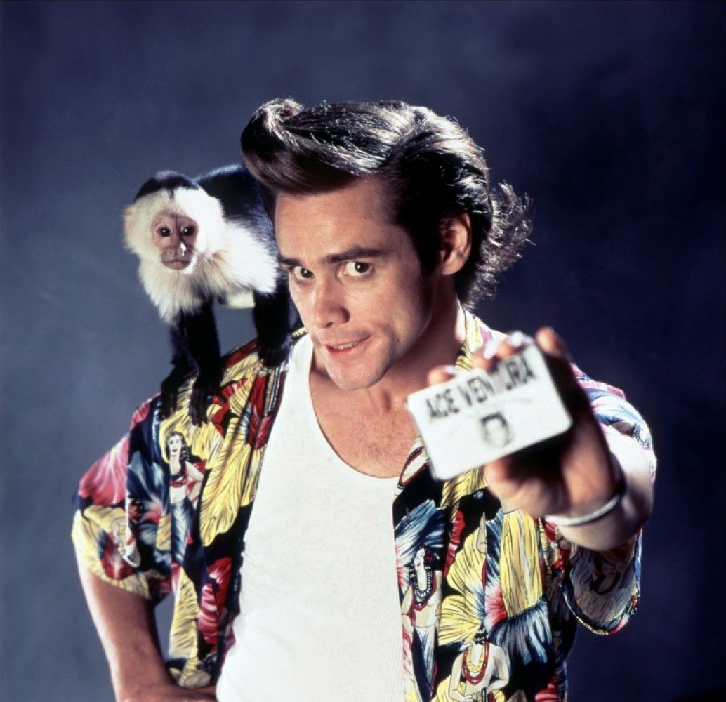 Ace Ventura Vai Ganhar Remake Em Breve R7 Divers o R7 Pop