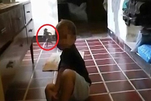 Direto de outro mundo? Mãe flagra duende correndo enquanto filma o filho e  intriga com aparição misteriosa - Fotos - R7 Hora 7