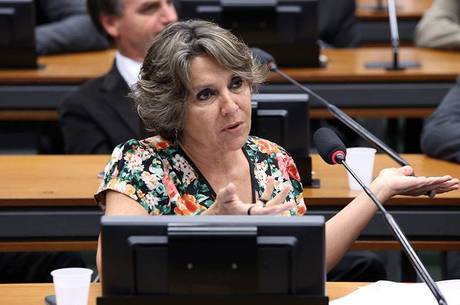 Para Erica Kokay esse processo dificulta que a mulher possa não ter uma gravidez fruto de um estupro Para Erica Kokay esse processo dificulta que a mulher possa não ter uma gravidez fruto de um estupro