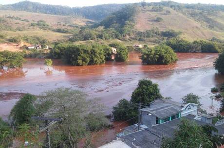 Lama percorreu 300 km pelo rio Doce Lama percorreu 300 km pelo rio Doce