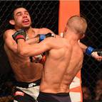 UFC Chicago - TJ Dillashaw vence Renan Barão
