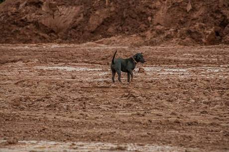 Barra Longa foi soterrada pela lama tóxica de rejeitos