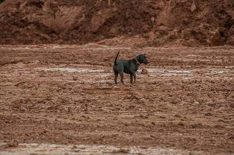 Barra Longa foi soterrada pela lama tóxica de rejeitos Barra Longa foi soterrada pela lama tóxica de rejeitos