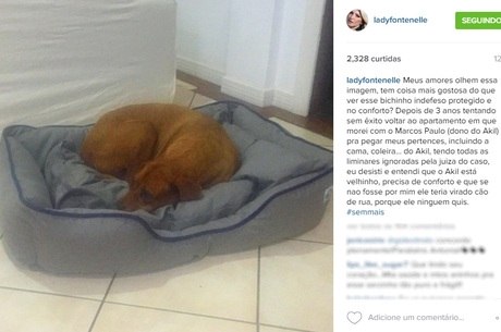 Fontenelle manda indireta com foto de cachorro de Marcos Paulo