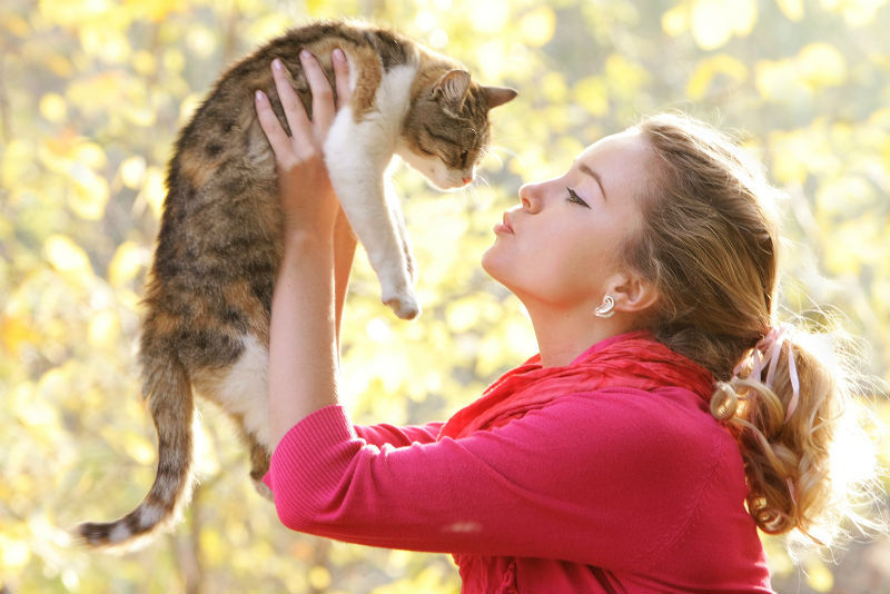 Gatos são apegados, sim! Estudo aponta que felinos entendem quando humanos  falam diretamente com eles, Ciência