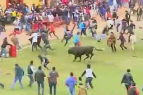 Corrida de touros na Espanha deixa sete feridos; veja vídeo, Mundo