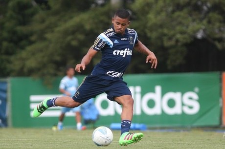 Gabriel Jesus desfalca o Palmeiras nos dois próximos jogos