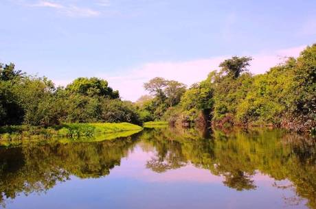 Pantanal foi o bioma que apresentou as menores perdas