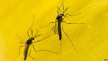 Subnotificação de casos de zika é uma realidade, mas não preocupa ministério
