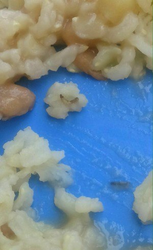 Larvas estavam misturadas com comida