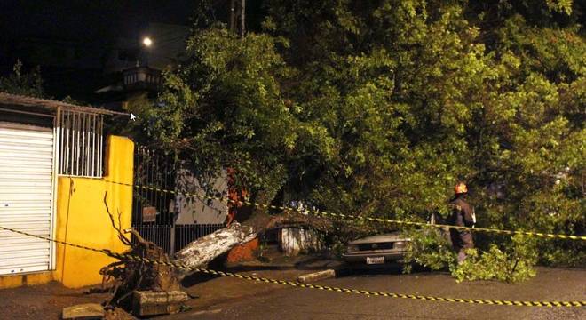 Queda de árvore na Avenida Parada Pinto, na Vila Nova Cachoeirinha, durante o temporal que atingiu a cidade de São Paulo, SP, na noite desta sexta-feira (20) e madrugada de sábado (21) Queda de árvore na Avenida Parada Pinto, na Vila Nova Cachoeirinha, durante o temporal que atingiu a cidade de São Paulo, SP, na noite desta sexta-feira (20) e madrugada de sábado (21)