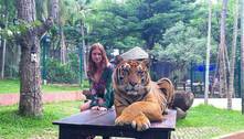 Marina Ruy Barbosa posa ao lado de tigres na Tailândia e causa polêmica: "Que foto horrível, uma crueldade"