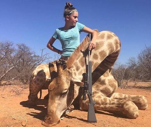 Peão brasileiro morre após ser pisoteado por touro em rodeio nos EUA -  RecordTV - R7 Balanço Geral